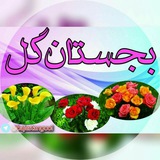 Telegram profile photo for بجستان گل دو