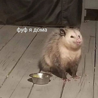 Telegram profile photo for Отдел культуры