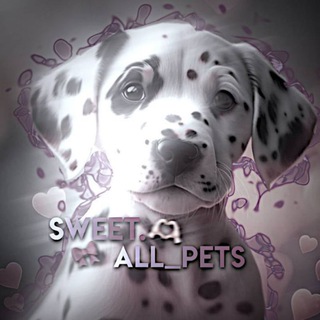 Telegram profile photo for 𝐬𝐰𝐞𝐞𝐭.𝐚𝐥𝐥 𝐩𝐞𝐭𝐬