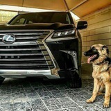 Telegram profile photo for 🚘خرید فروش خودرو🚘