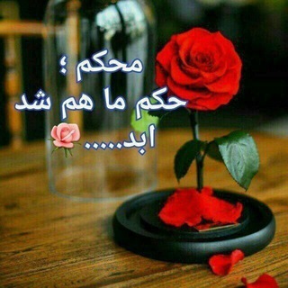 Telegram profile photo for محکم حکم ما هم شد ابد