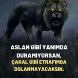 Telegram profile photo for TABUTCU'NUN HÜSRAN SONU