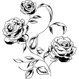 Telegram profile photo for جیرجیرک