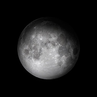 Telegram profile photo for MOONEYMAKER