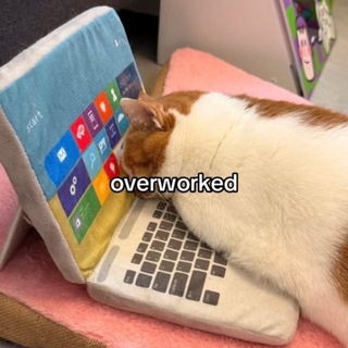 Telegram profile photo for overworked