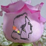 Telegram profile photo for နန်းမိုဇင်ဖူး