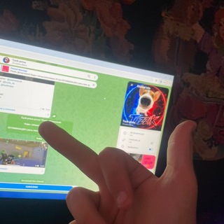 Telegram profile photo for я тузик