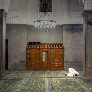 Telegram profile photo for ظِلّ..