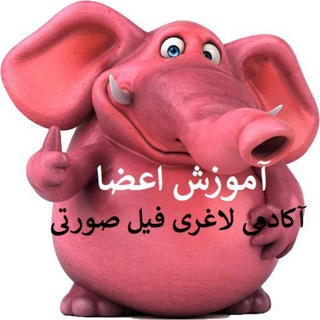 Telegram profile photo for آموزش اعضای آکادمی