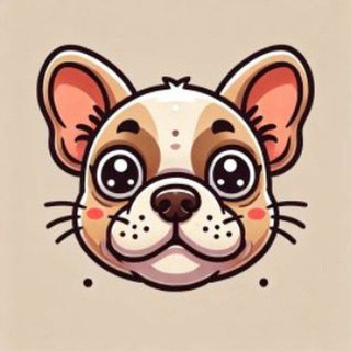 Telegram profile photo for KALISI SAFEGUARD