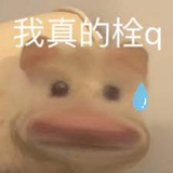 Telegram profile photo for 拆诈局|揭露骗局吧