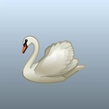 Telegram profile photo for Lantana