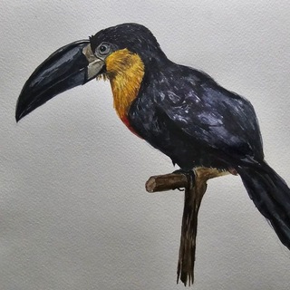 Telegram profile photo for rissara