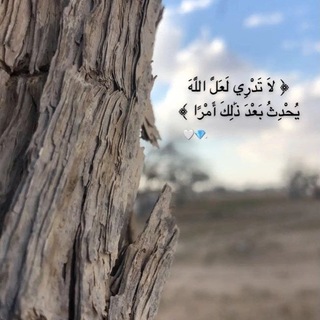 Telegram profile photo for منبع اللطف🌿