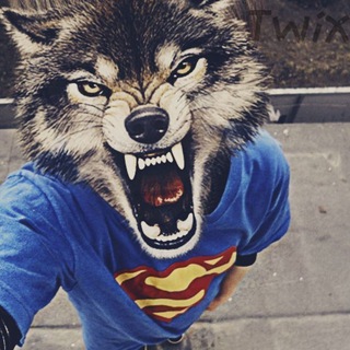 Telegram profile photo for EGOR 2OO4