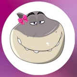 Telegram profile photo for 🦈「 خَرکوسِه 」🎀