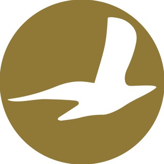 Telegram profile photo for Cham Wings Airlines