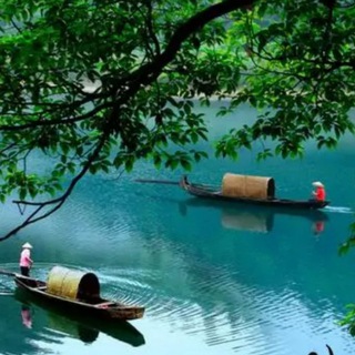 Telegram profile photo for 衢州 NO.1 电报大本营