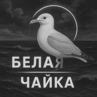 Telegram profile photo for Проект "Чайка"