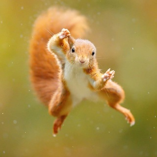 Telegram profile photo for We are lucky lives