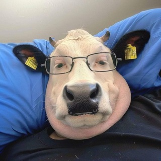 Telegram profile photo for #SaeiD's Honest Thoughts