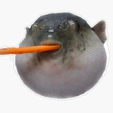 Telegram profile photo for $AUGH CTO