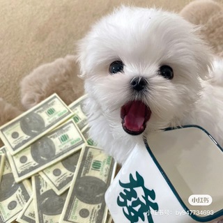 Telegram profile photo for 小涵服饰 包包现货频道