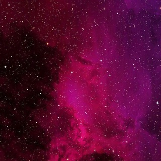 Telegram profile photo for Schizophrenia_ شيزوفرينيا 🖤