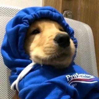 Telegram profile photo for WHATEVERMAN CTO