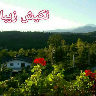 Telegram profile photo for تکیش زیبا
