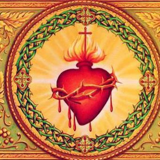 Telegram profile photo for 🌼 Amigos cristianos 🌹