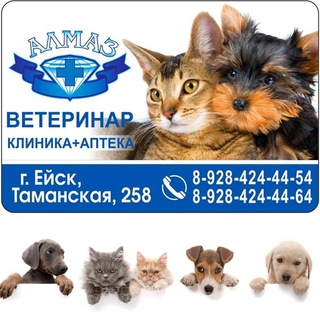 Telegram profile photo for Клиника «Ветеринар»🐾
