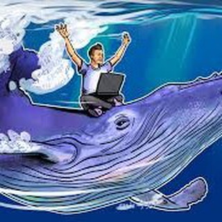 Telegram profile photo for WhalersClub🐳