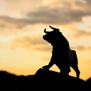 Telegram profile photo for Bullish