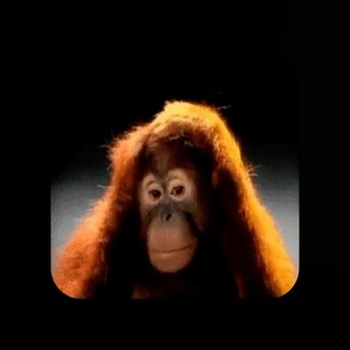 Telegram profile photo for Региональные сетки