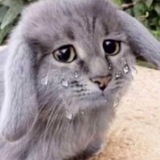 Telegram profile photo for ПЕРЕЕЗД