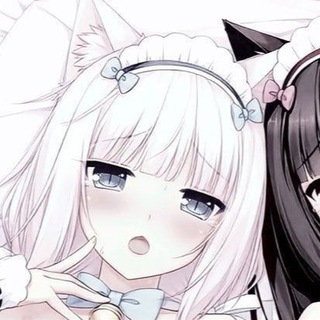 Telegram profile photo for ๐๐๐๐๐๐๐๐๐