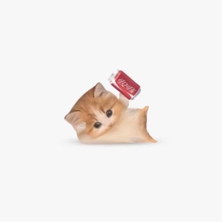 Telegram profile photo for » shurmi port — *