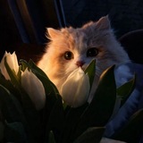 Telegram profile photo for زَادُ المُؤْمِن .