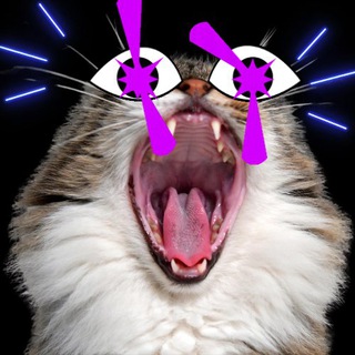 Telegram profile photo for $BOCA Portal