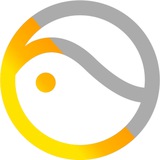 Telegram profile photo for Pico Developer