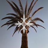 Telegram profile photo for Maison 09, الشباب الذهبي (ᚼ)