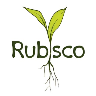 Telegram profile photo for Rubisco Biology | المپیاد زیست روبیسکو