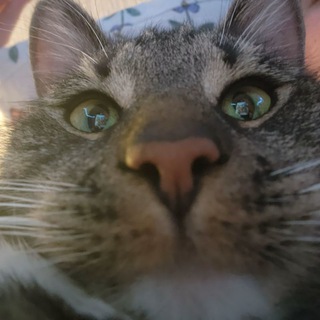 Telegram profile photo for запис_ки косплеера