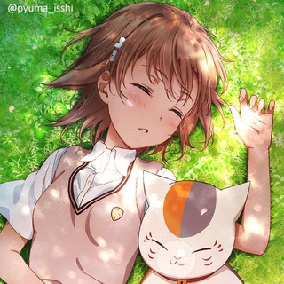 Telegram profile photo for Misaka Airport Channel