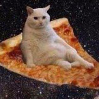 Telegram profile photo for YOU LAUGH YOU LOSE (засмеялся-проиграл)