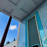 Telegram profile photo for نشانی: ایران (سارا قنواتی)