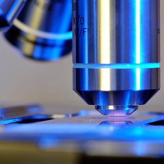 Telegram profile photo for Medical Labortary Scientist