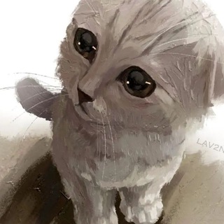 Telegram profile photo for ТикТок мод