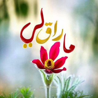 Telegram profile photo for ما راق لي .. ❥🍂🤞